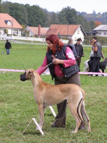 Zlata doga 2007 - foto povečava