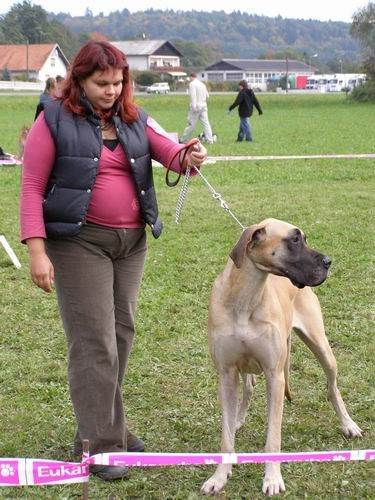 Zlata doga 2007 - foto povečava