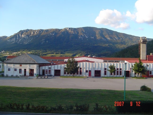 Vipava