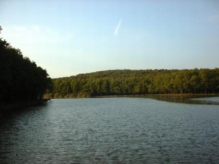 Bukovniško jezero 2006 - foto povečava