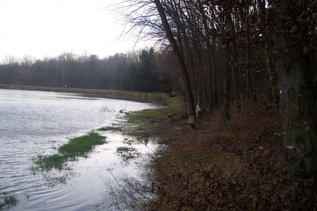 Bukovniško jezero 2006 - foto povečava