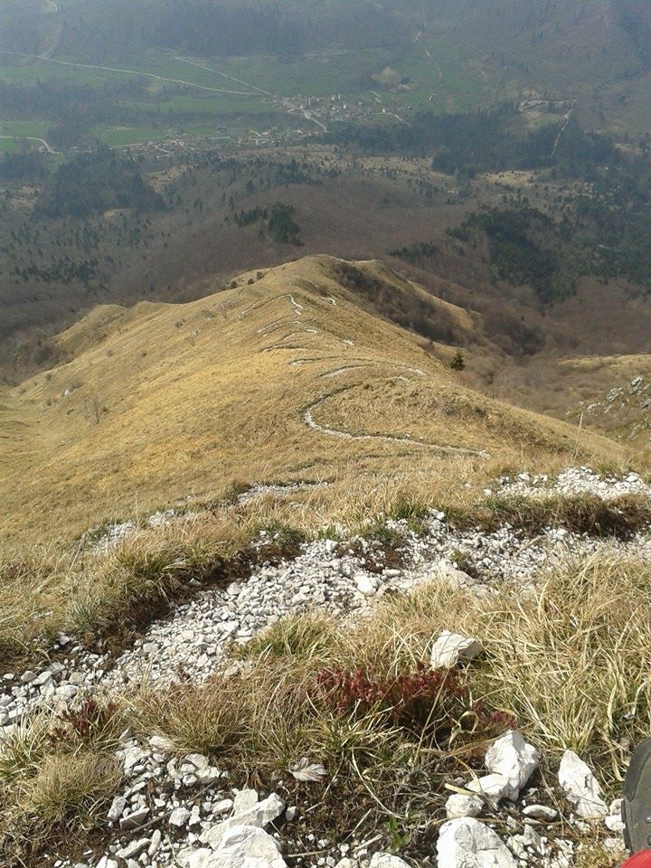 Jagoda - foto povečava