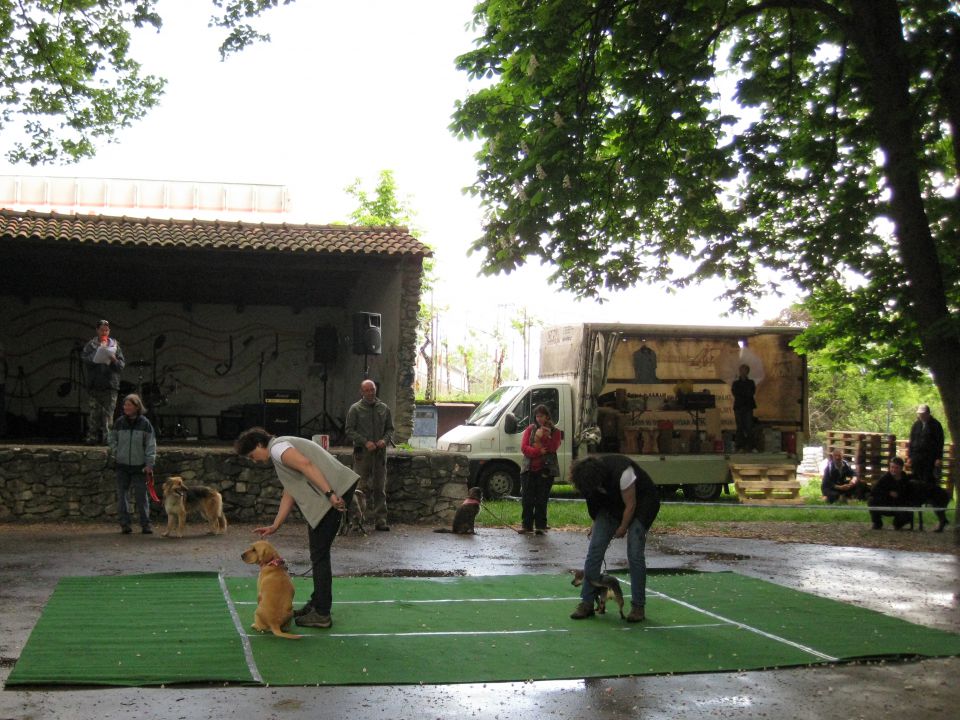 Dan odprtih vrat KD Sežana - foto povečava