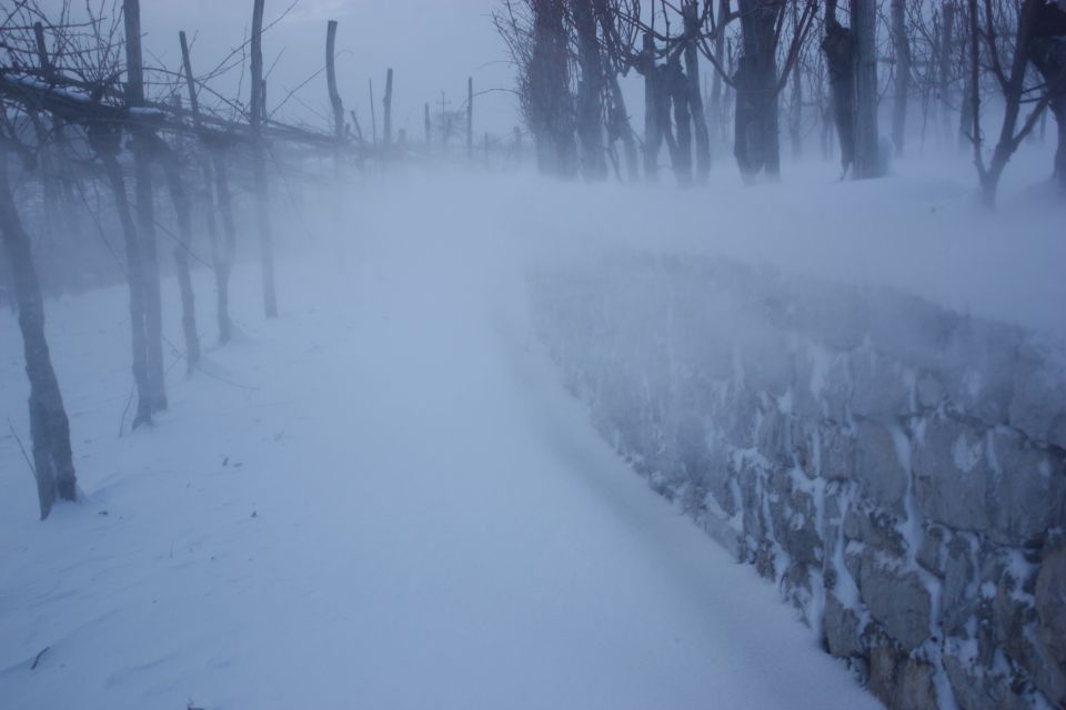 Sneg na Krasu dec. 2012 - foto povečava