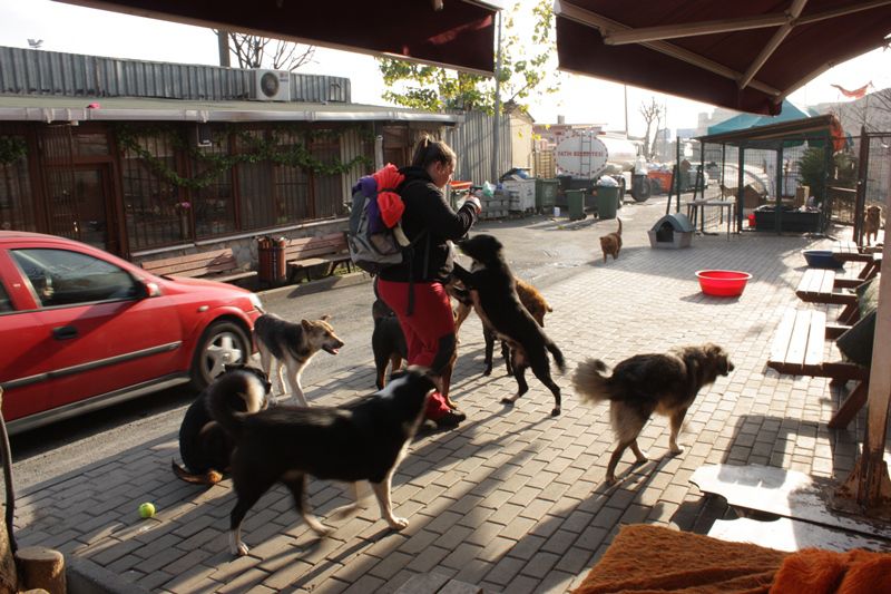 Istanbul - foto povečava