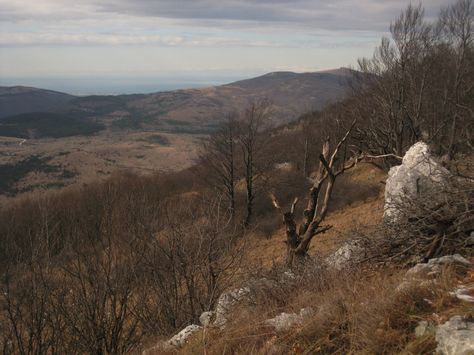 Čičarija februar 2014 - foto povečava