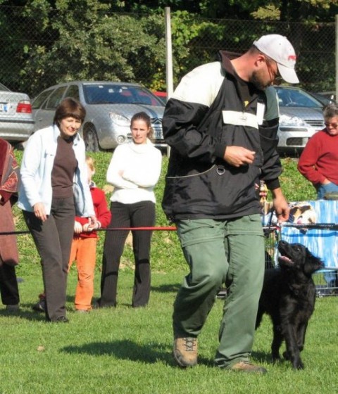 Druga razstava SKR LJ-Brdo - foto