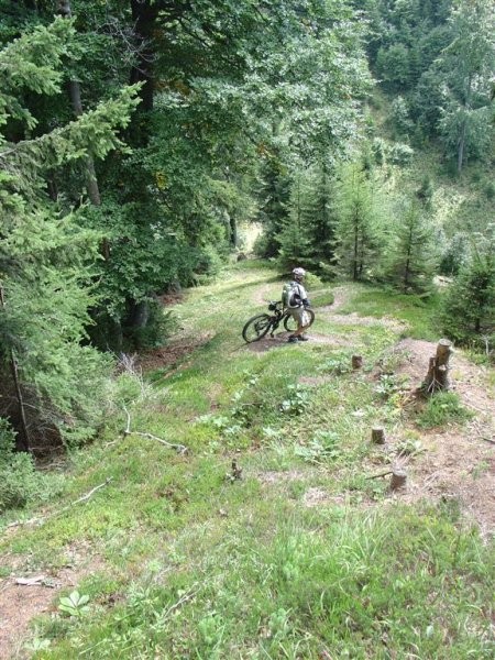 Trupejevo poldne 2004 - foto povečava