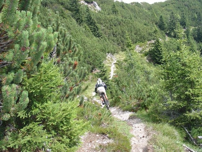 Trupejevo poldne 2004 - foto povečava