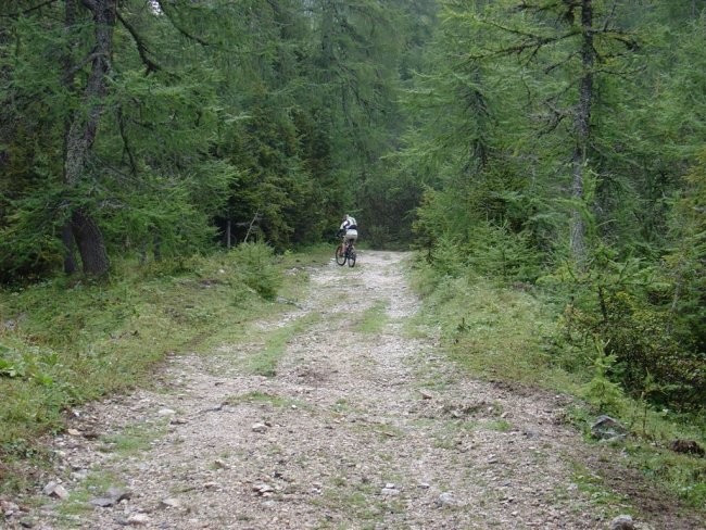 Trupejevo poldne 2004 - foto povečava