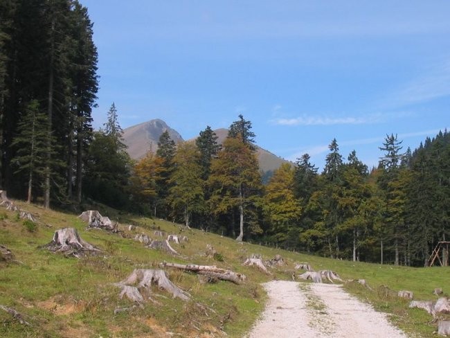 Struška-Medji dol 2006 - foto povečava