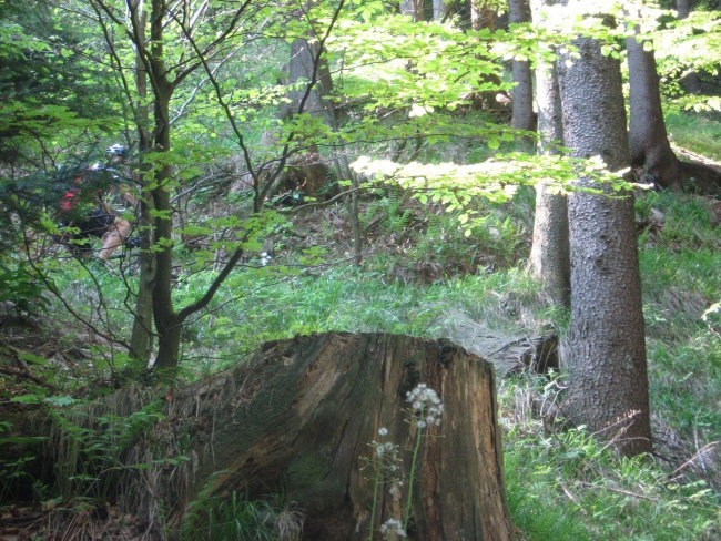 Možic 29.4. 2007 - foto povečava