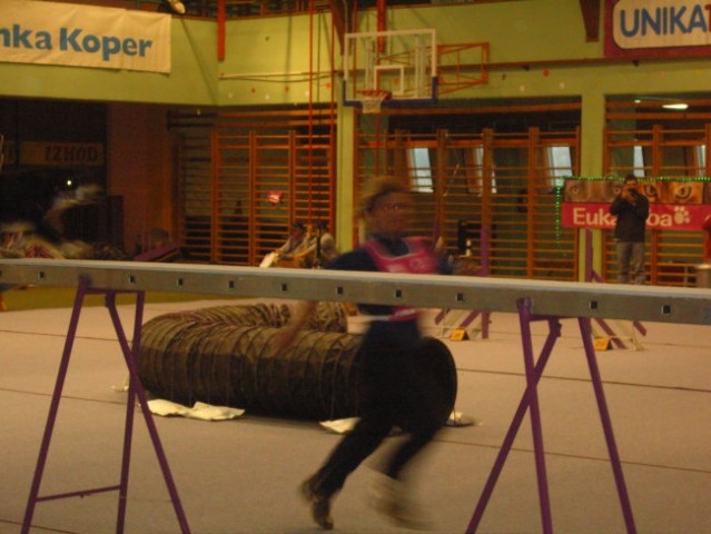 Agility tekma v Postojni - foto