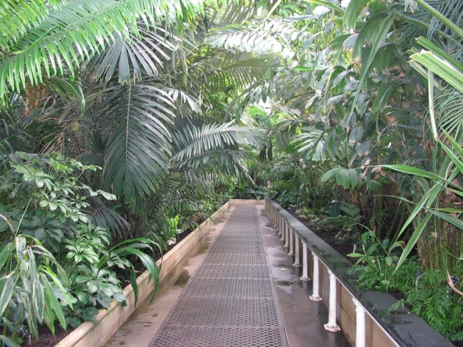 Kew Gardens - Palm House