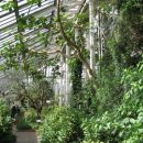 Kew Gardens - Temperate House