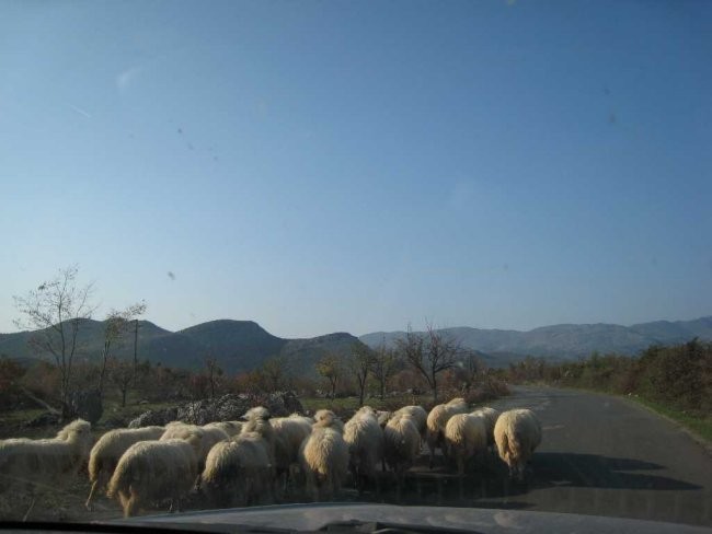 2007 - Romunija, Bolgarija, Makedonija, ... - foto povečava