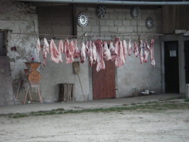 Janče 2006 - foto