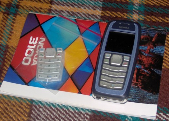 Nokia 3100 - foto