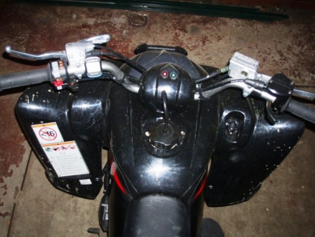 Yamaha YFM 350R - foto