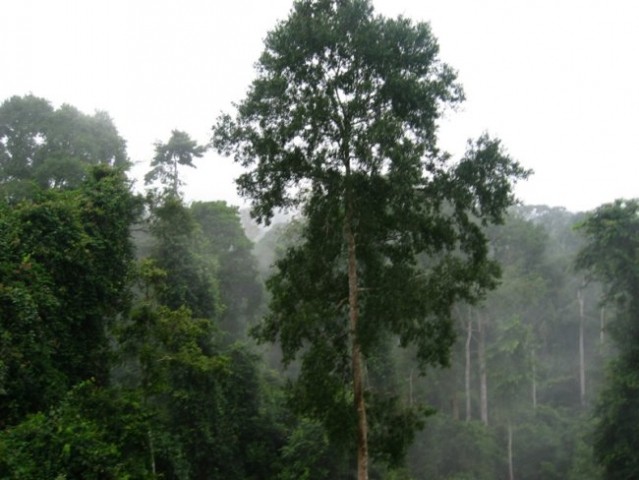 In seveda je v deževnem gozdu moralo ravno takrat deževat :D ampak je bilo pa zato vzdušje