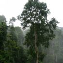 in seveda je v deževnem gozdu moralo ravno takrat deževat :D ampak je bilo pa zato vzdušje