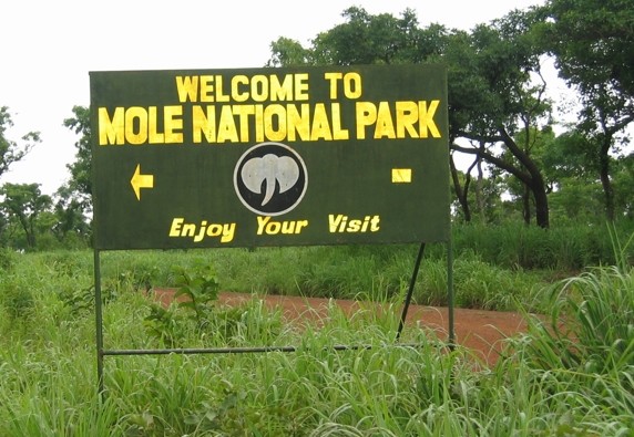 Mole national park
