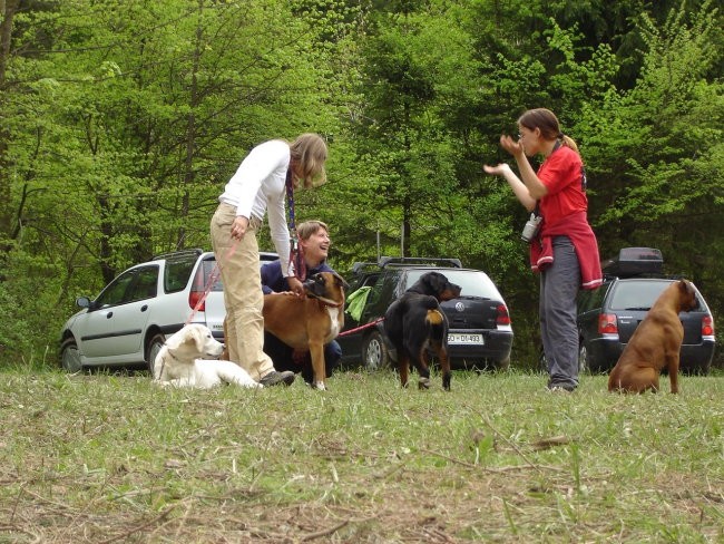 Piknik - foto povečava