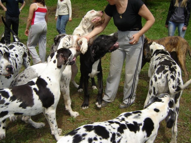 Piknik - foto