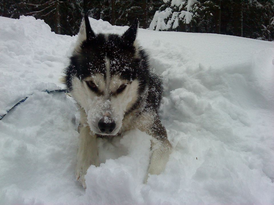 Februar ~ 2o1o - foto povečava