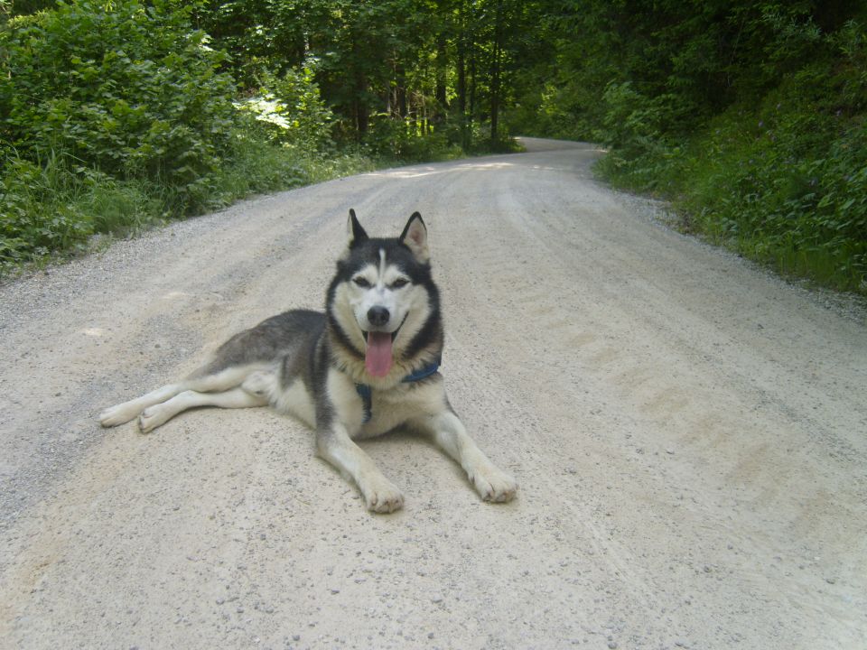 Poletje ~ 2o1o - foto povečava