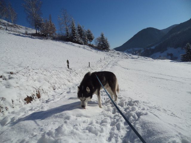 18.12.2o11 - foto