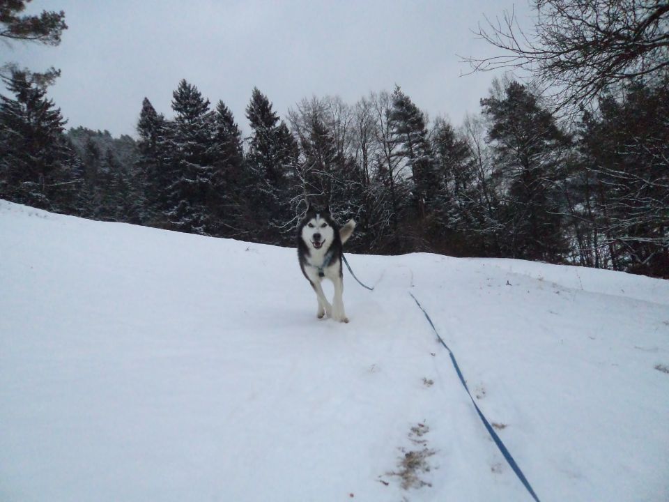 Februar ~ 2o12 - foto povečava