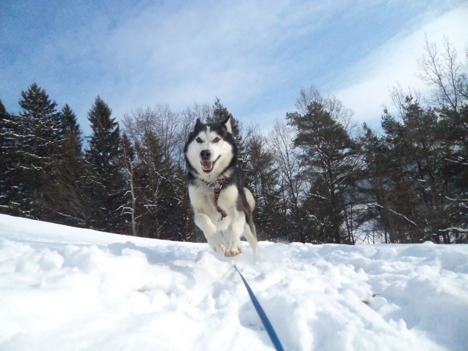 Februar ~ 2o12 - foto povečava