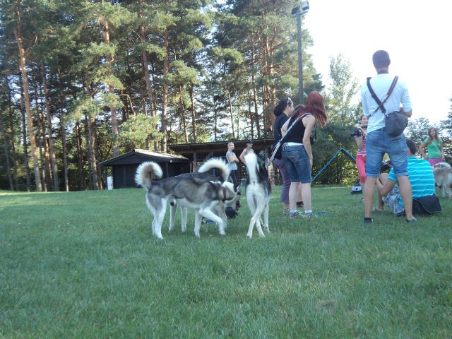 Srečanje polarčkov 18.8.2012 - foto