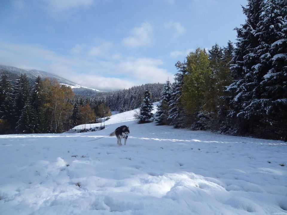 28, 29. 1o - foto povečava