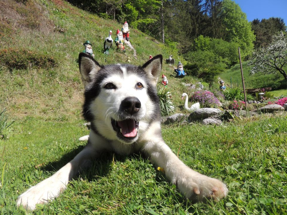 Pomlad 2015 - foto povečava