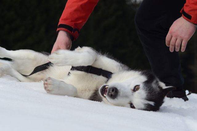 Zima 2o16 - foto