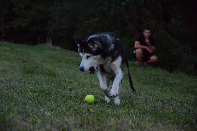 Poletje 2o16 - foto