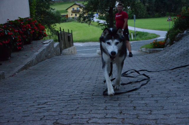 Poletje 2o16 - foto