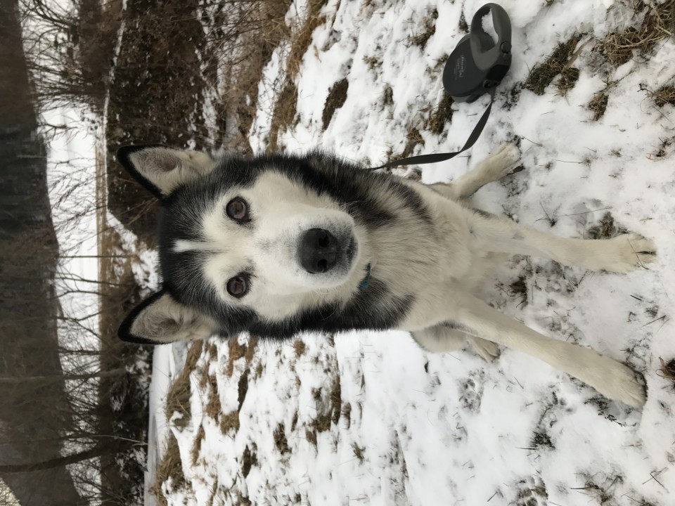 2.1.2017 do 17.1.2017 - foto povečava