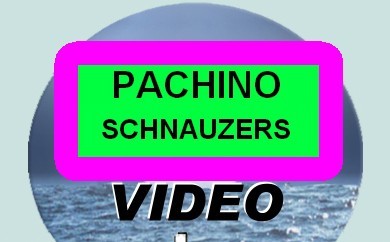 http://www.youtube.com/watch?v=i0wlIXf1jgw