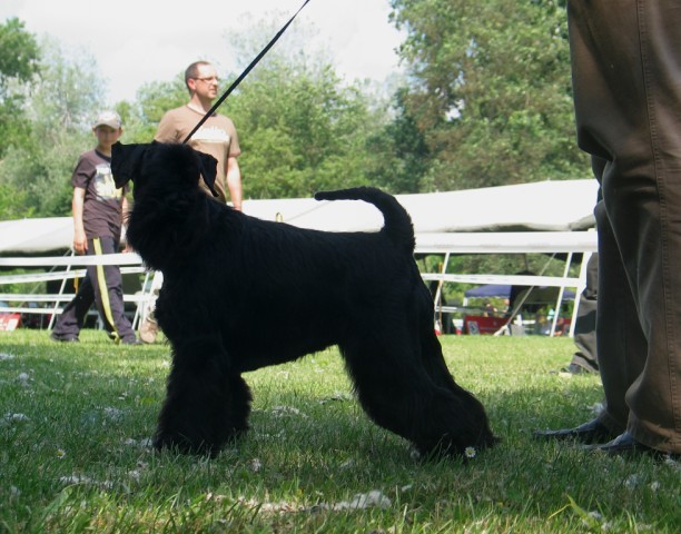 Specijalka Varazdin 2008(Hrvatska) - foto