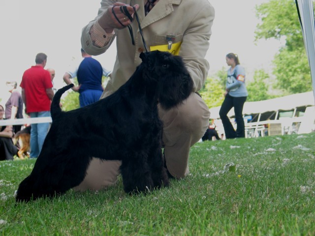 Specijalka Varazdin 2008(Hrvatska) - foto povečava