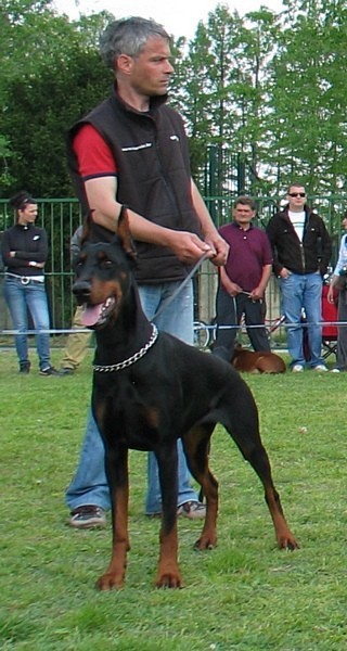 C.A.C. Backa Palanka 2009 - foto povečava