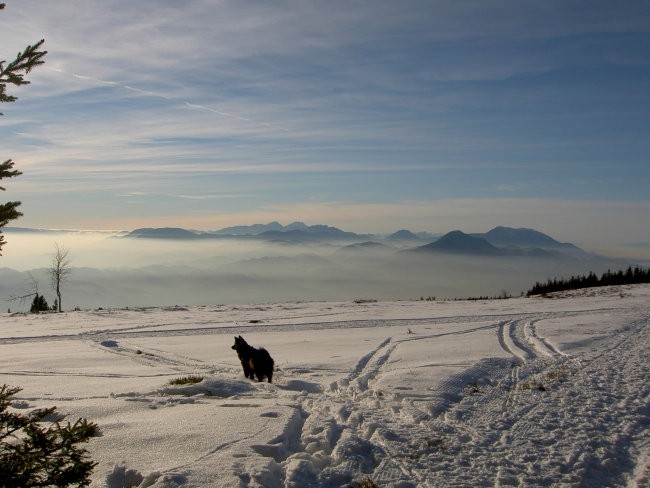 Januar 2007 - foto povečava