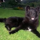 Aska in Max