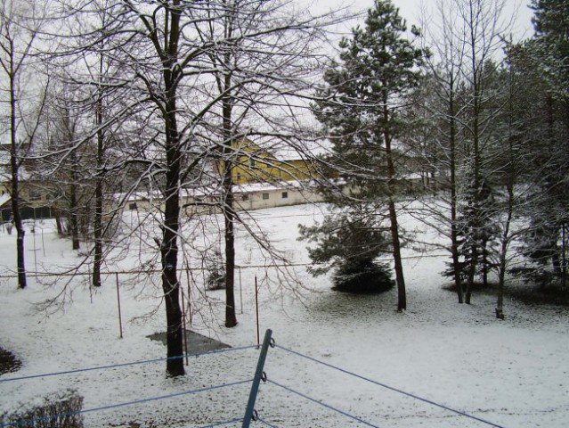 Sneg in kidanje - foto