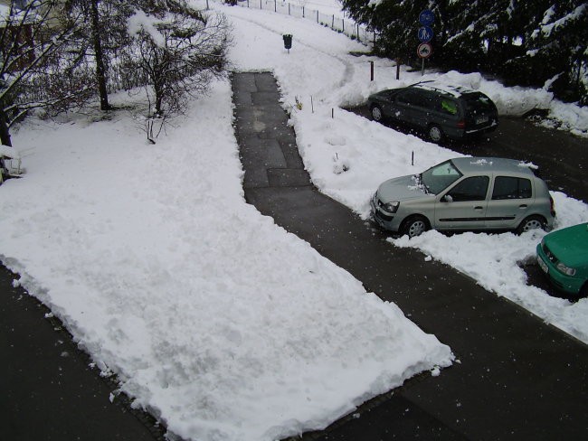 Sneg in kidanje - foto povečava