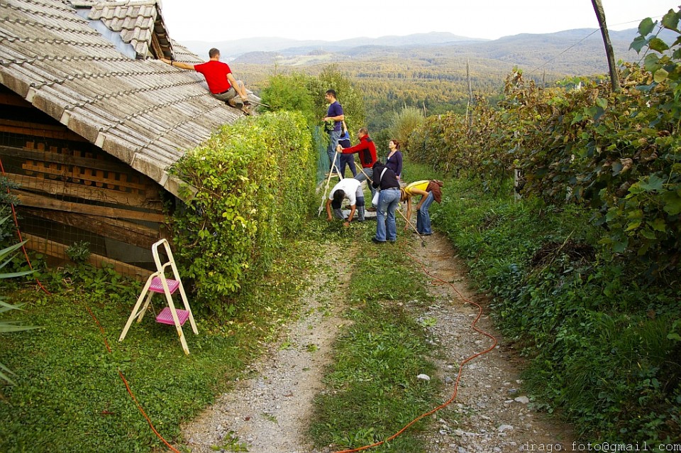 Helenina drva 26.09.2009 - foto povečava