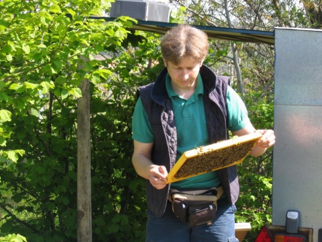 Večkrat je potrebno pregledovat čebelje sate